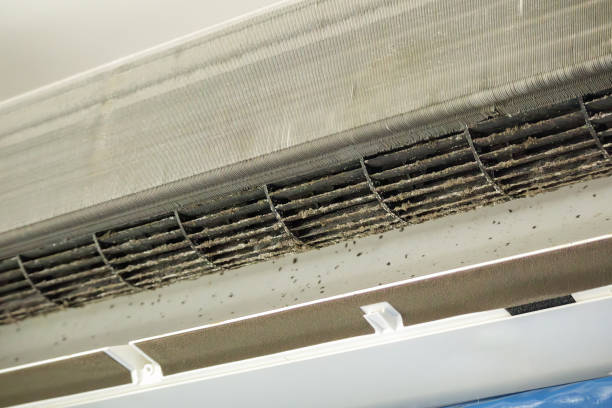 Best Affordable Air Duct Cleaning  in Shadeland, IN