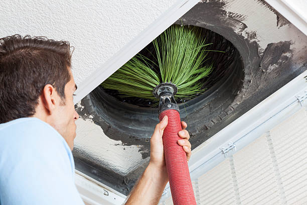 Best Home Air Vent Cleaning  in Shadeland, IN